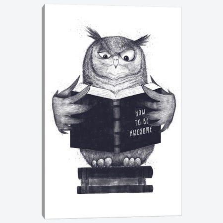 Wisdom Owl Canvas Print #VAK135} by Valeriya Korenkova Canvas Print