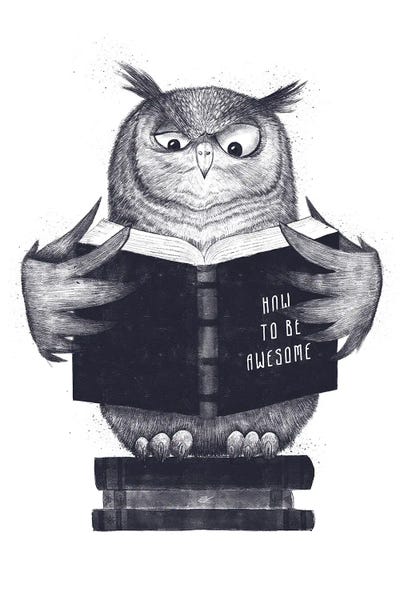 Reading: Wisdom Owl by Valeriya Korenkova