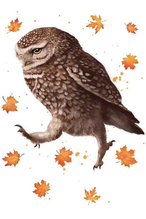 Owl With Leaves