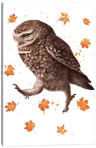 Owl With Leaves Canvas Art Print - Valeriya Korenkova