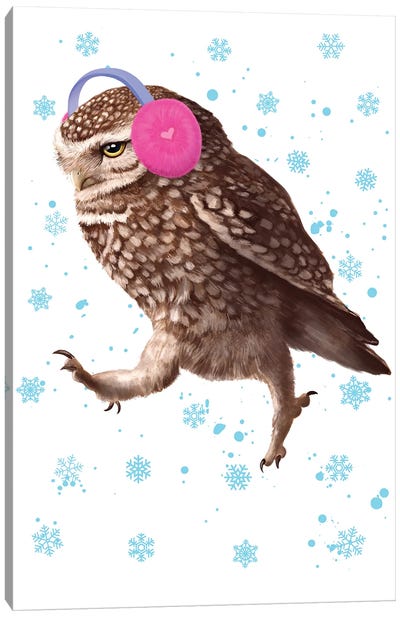 Owl With Snowflakes Canvas Art Print - Valeriya Korenkova