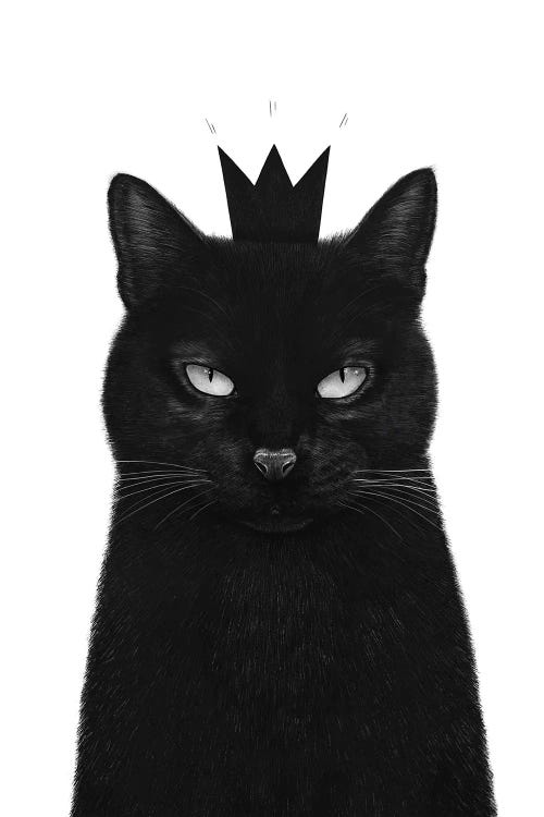 King Cat by Valeriya Korenkova wall art