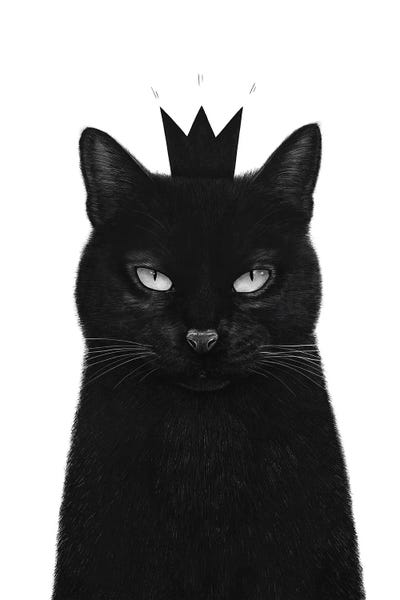 Black Cats: King Cat by Valeriya Korenkova