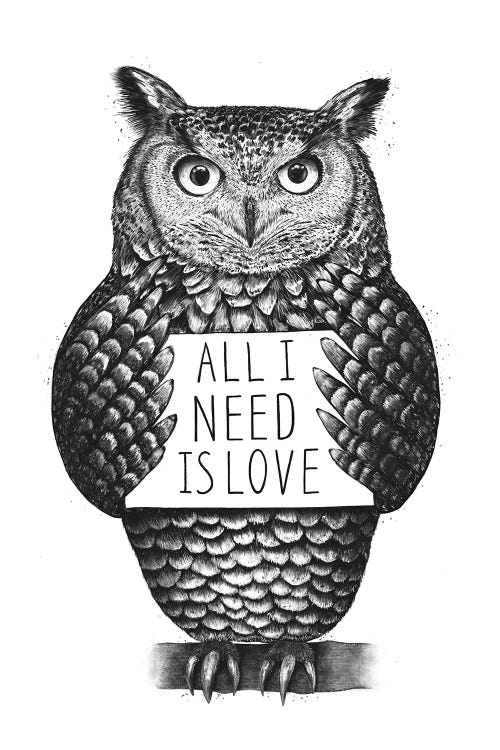 Owl With Love