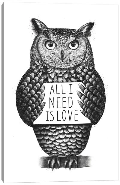 Owl With Love Canvas Art Print - Valeriya Korenkova