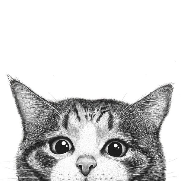 Black & White Drawings & Illustrations: You Are So Cute by Valeriya Korenkova