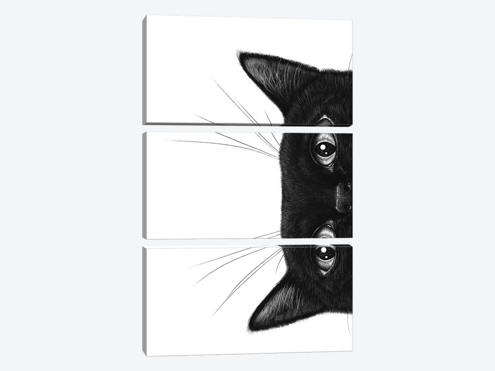 Black Cat II by Valeriya Korenkova 3-piece Canvas Art Print