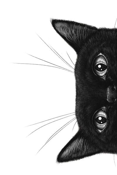 Black & White Digital Art: Black Cat II by Valeriya Korenkova