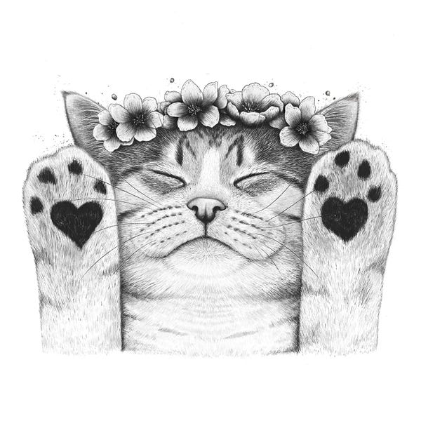 Black & White Florals: Swettie kitty by Valeriya Korenkova