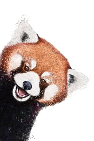 Red Pandas: Red Panda by Valeriya Korenkova