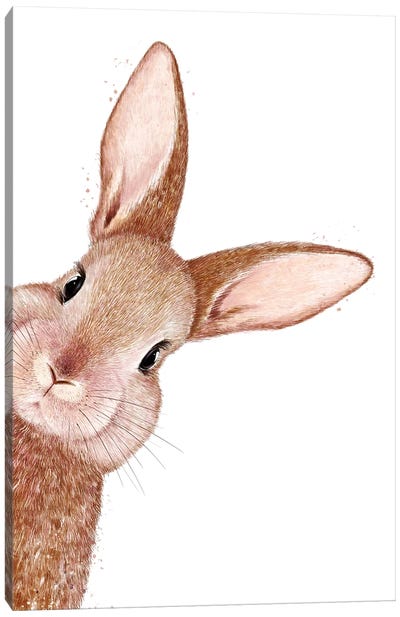 Peeping Rabbit Canvas Art Print - Valeriya Korenkova