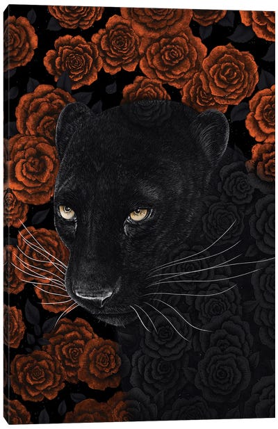Panther In Roses Canvas Art Print - Valeriya Korenkova
