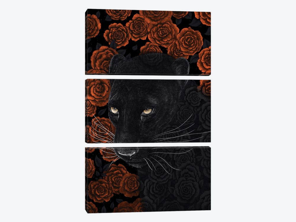 Panther In Roses by Valeriya Korenkova 3-piece Canvas Art