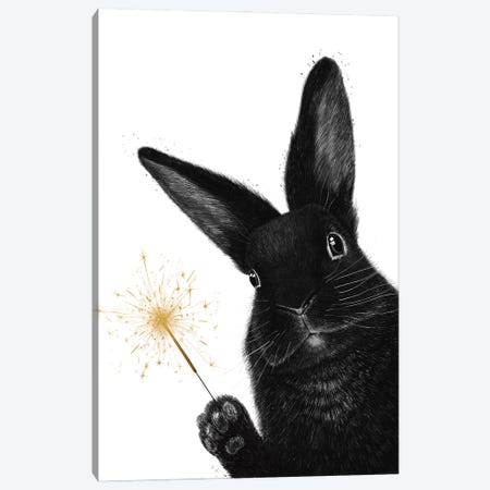 Rabbit With Sparkler Canvas Print #VAK164} by Valeriya Korenkova Canvas Art