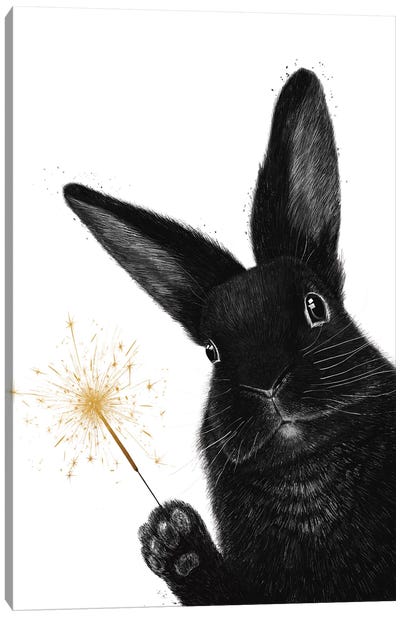 Rabbit With Sparkler Canvas Art Print - Valeriya Korenkova