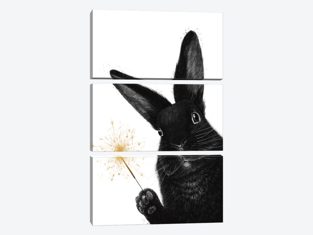 Rabbit With Sparkler by Valeriya Korenkova 3-piece Canvas Artwork