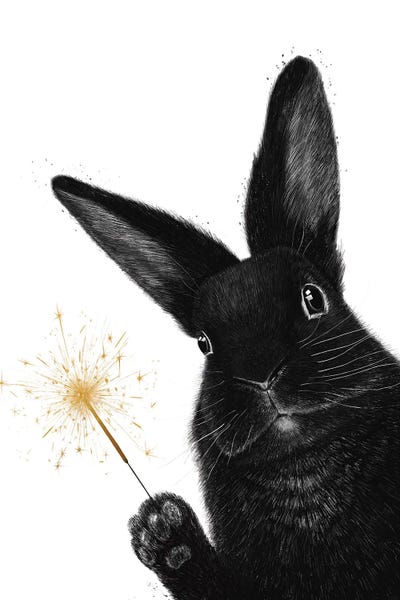 Seasonal Glam: Rabbit With Sparkler by Valeriya Korenkova