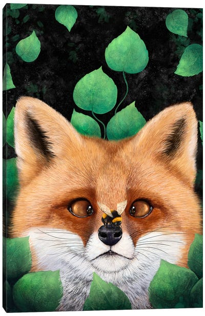 Fox In Leaves Canvas Art Print - Valeriya Korenkova