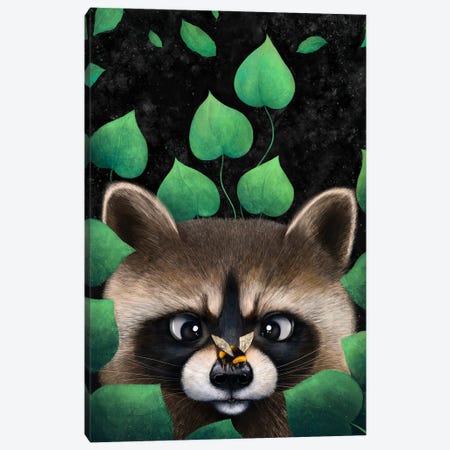 Raccoon In Leaves Canvas Print #VAK171} by Valeriya Korenkova Canvas Wall Art