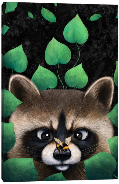 Raccoon In Leaves Canvas Art Print - Valeriya Korenkova