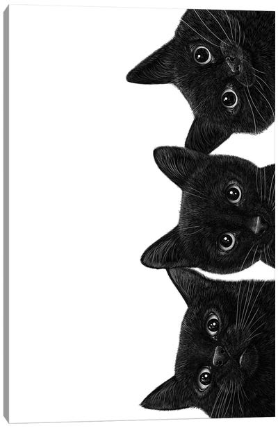 Three Black Cats Canvas Art Print - Black Cat Art