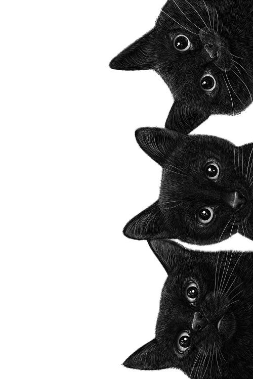 Three Black Cats by Valeriya Korenkova wall art