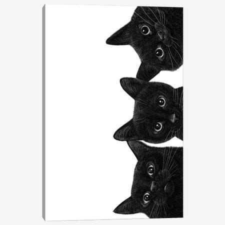 Three Black Cats Canvas Print #VAK172} by Valeriya Korenkova Canvas Artwork