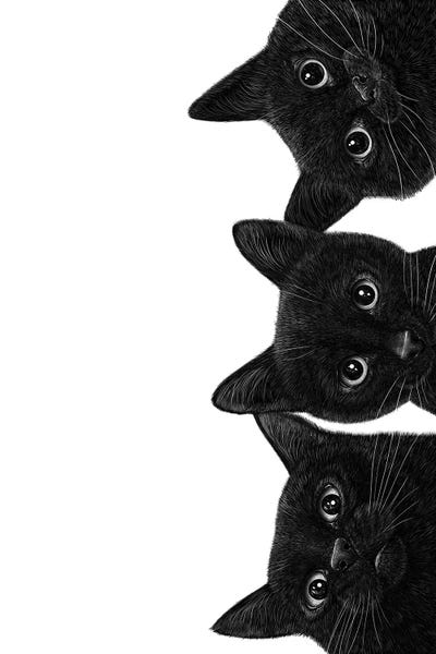Black Cats: Three Black Cats by Valeriya Korenkova