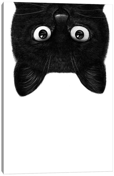 Black Cat IV Canvas Art Print - Cat Art