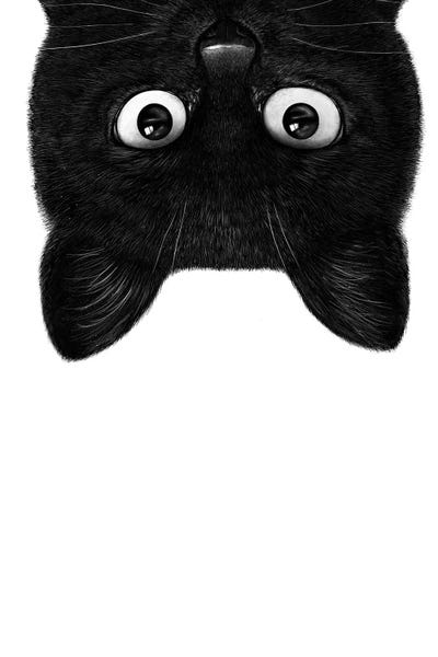 Black Cats: Black Cat IV by Valeriya Korenkova