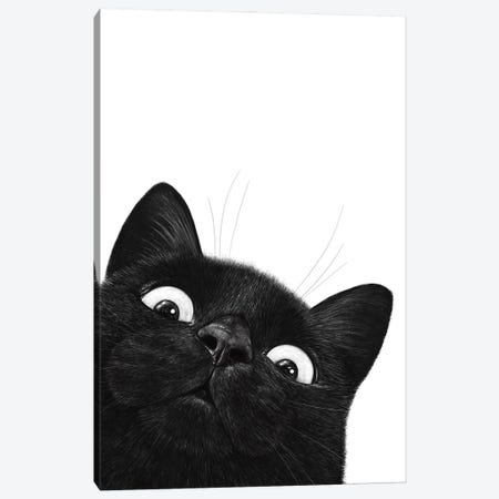 Funny Black Cat Canvas Print #VAK174} by Valeriya Korenkova Canvas Art Print