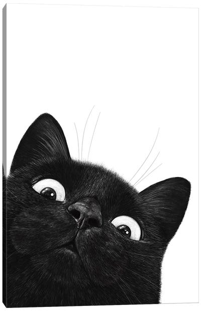Funny Black Cat Canvas Art Print - Valeriya Korenkova