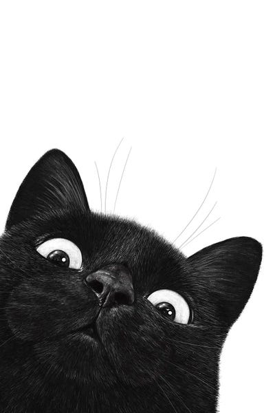 Black Cats: Funny Black Cat by Valeriya Korenkova