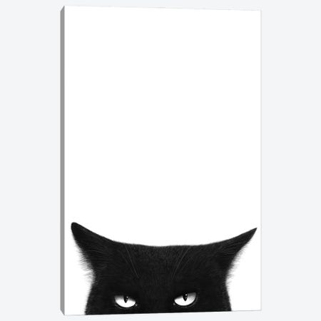 Angry Black Cat Canvas Print #VAK175} by Valeriya Korenkova Canvas Print