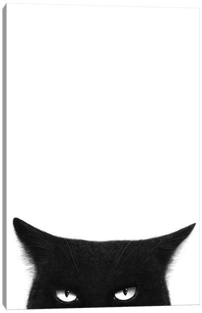 Angry Black Cat Canvas Art Print - Cat Art