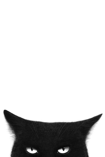 Kids Animal Art: Angry Black Cat by Valeriya Korenkova