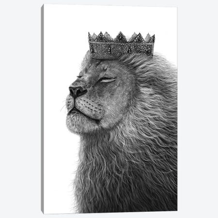 Lion With Crown Canvas Print #VAK176} by Valeriya Korenkova Canvas Art Print