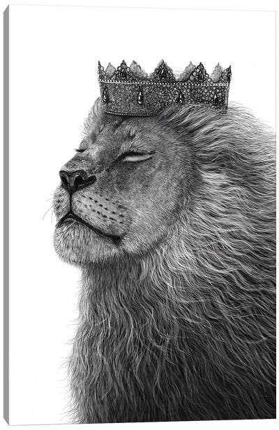 Lion With Crown Canvas Art Print - Valeriya Korenkova