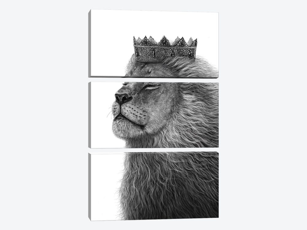Lion With Crown by Valeriya Korenkova 3-piece Art Print