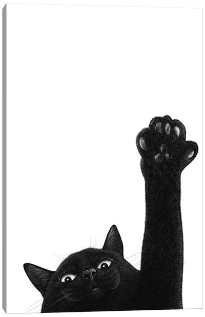 Cat With Paw Canvas Art Print - Black & White Animal Art