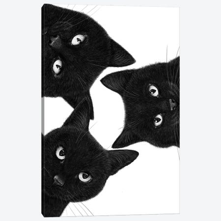 Three Black Cats In A Circle Canvas Print #VAK178} by Valeriya Korenkova Canvas Art
