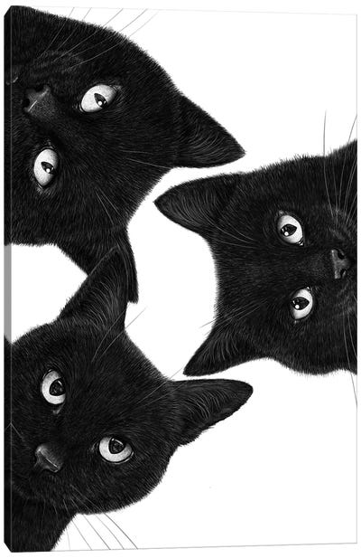 Three Black Cats In A Circle Canvas Art Print - Valeriya Korenkova