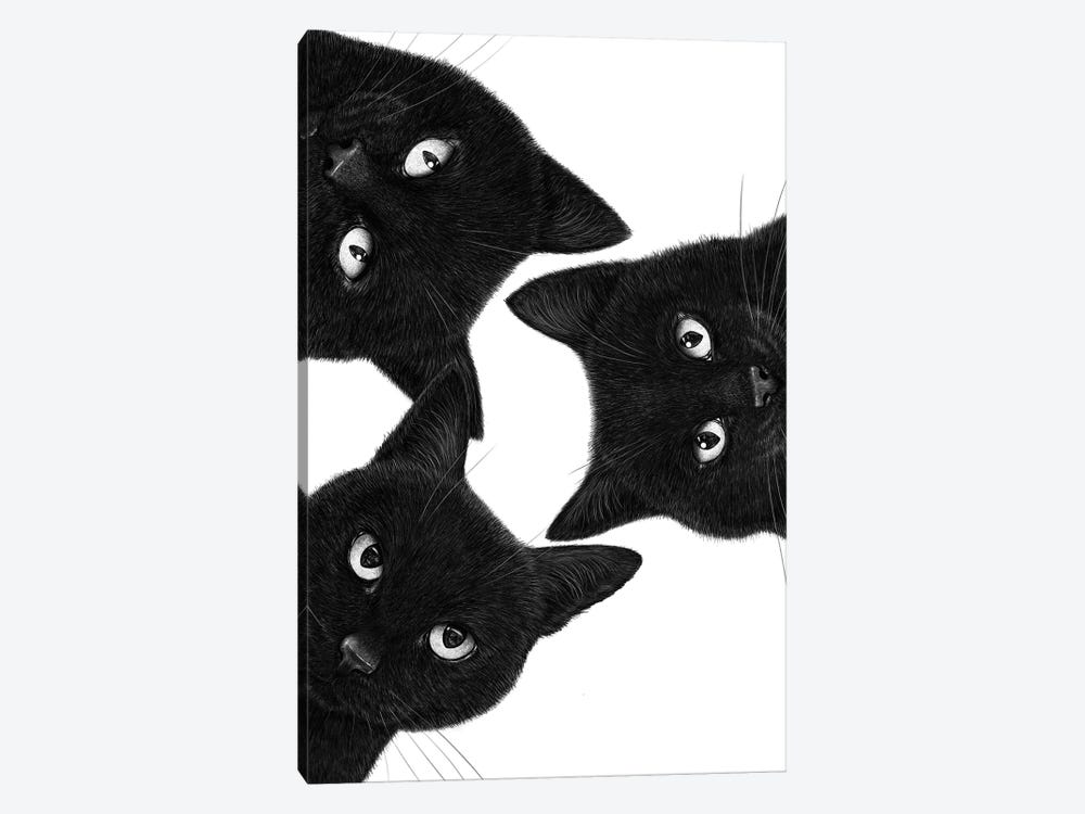 Three Black Cats In A Circle by Valeriya Korenkova 1-piece Canvas Print