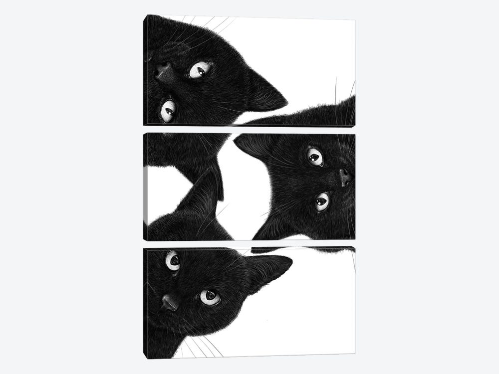 Three Black Cats In A Circle by Valeriya Korenkova 3-piece Canvas Art Print
