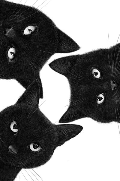 Black Cats: Three Black Cats In A Circle by Valeriya Korenkova