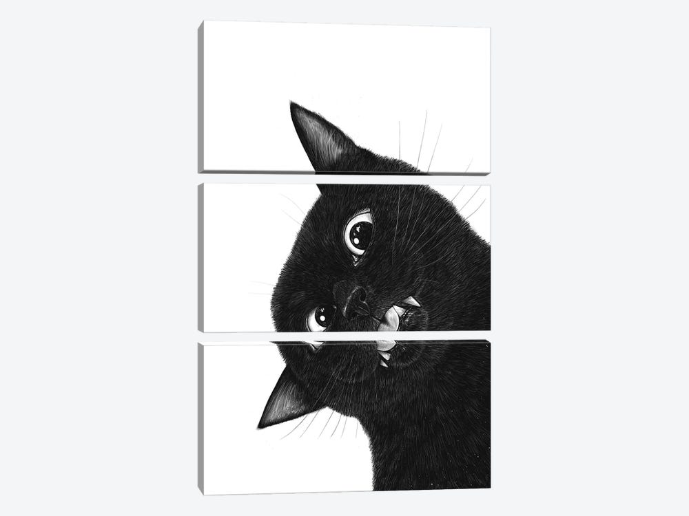 Crazy Black Cat by Valeriya Korenkova 3-piece Canvas Artwork