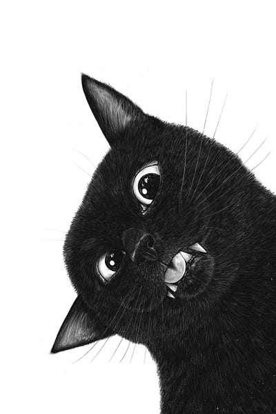 Animal Lover: Crazy Black Cat by Valeriya Korenkova