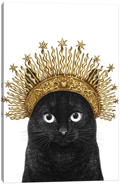 Queen Of Black Cats Canvas Art Print - Valeriya Korenkova