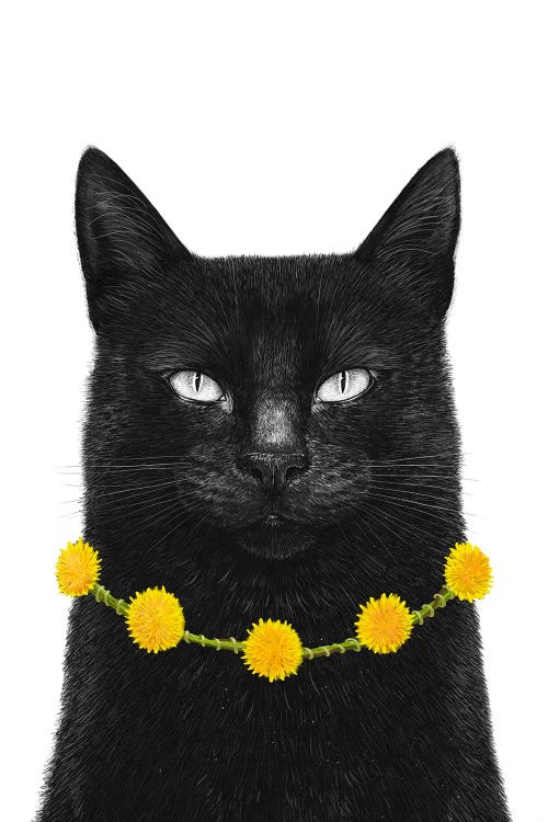 Black Cat With Dandelions