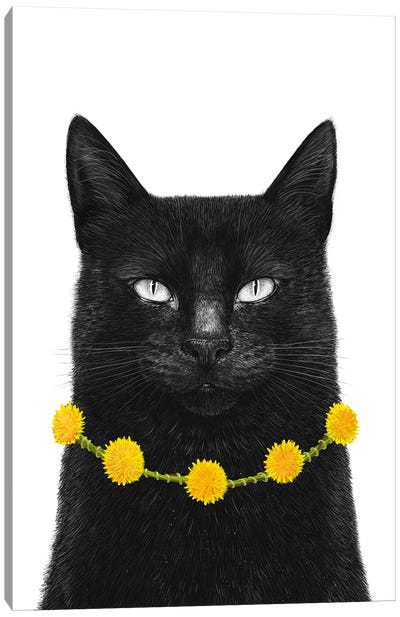 Black Cat With Dandelions Canvas Art Print - Valeriya Korenkova